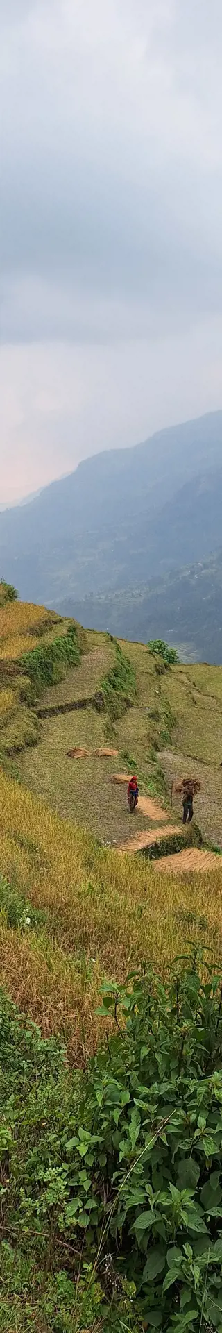 Achtung, fertig, Poon Hill Trek!